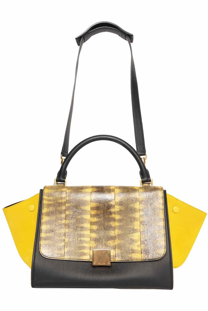 Celine Small Lizard Tricolor Trapeze Tote