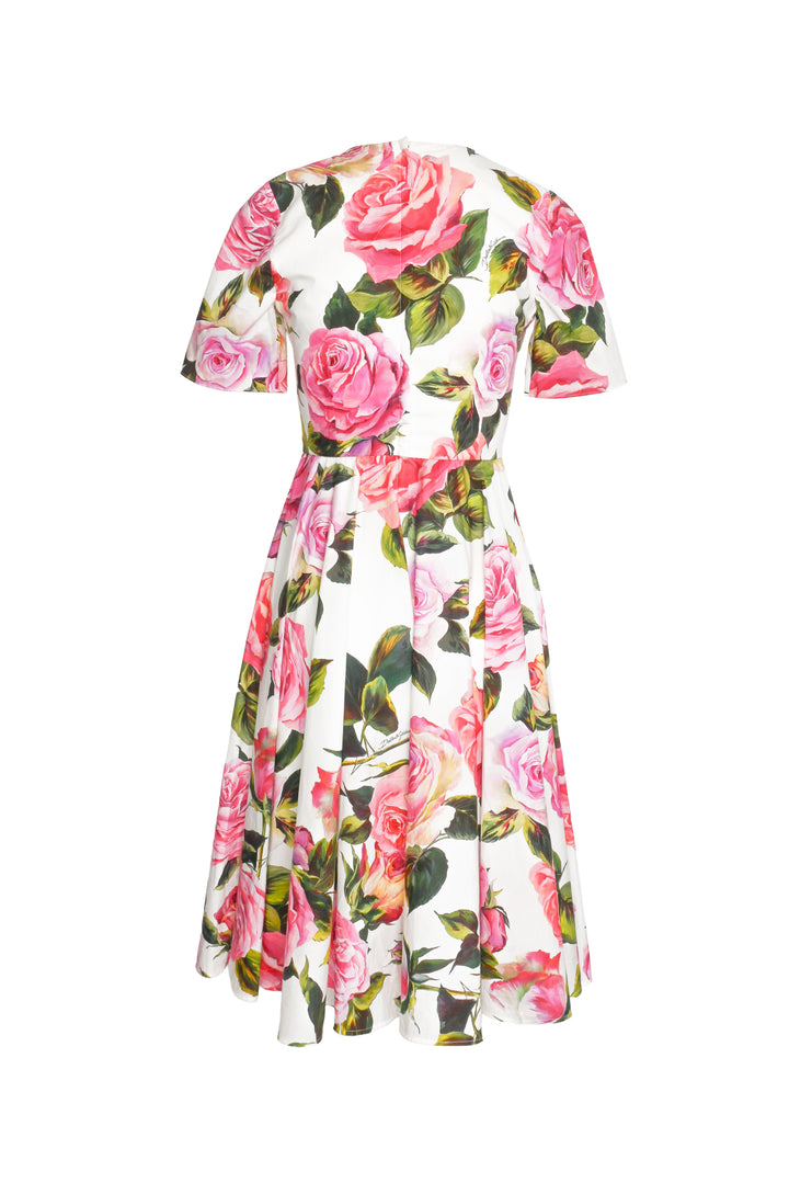 Dolce & Gabbana Size 40 Floral Cotton Midi Dress