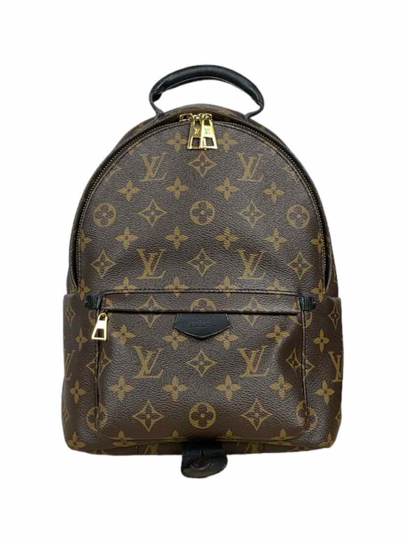 Louis Vuitton Palm Springs PM BackPack