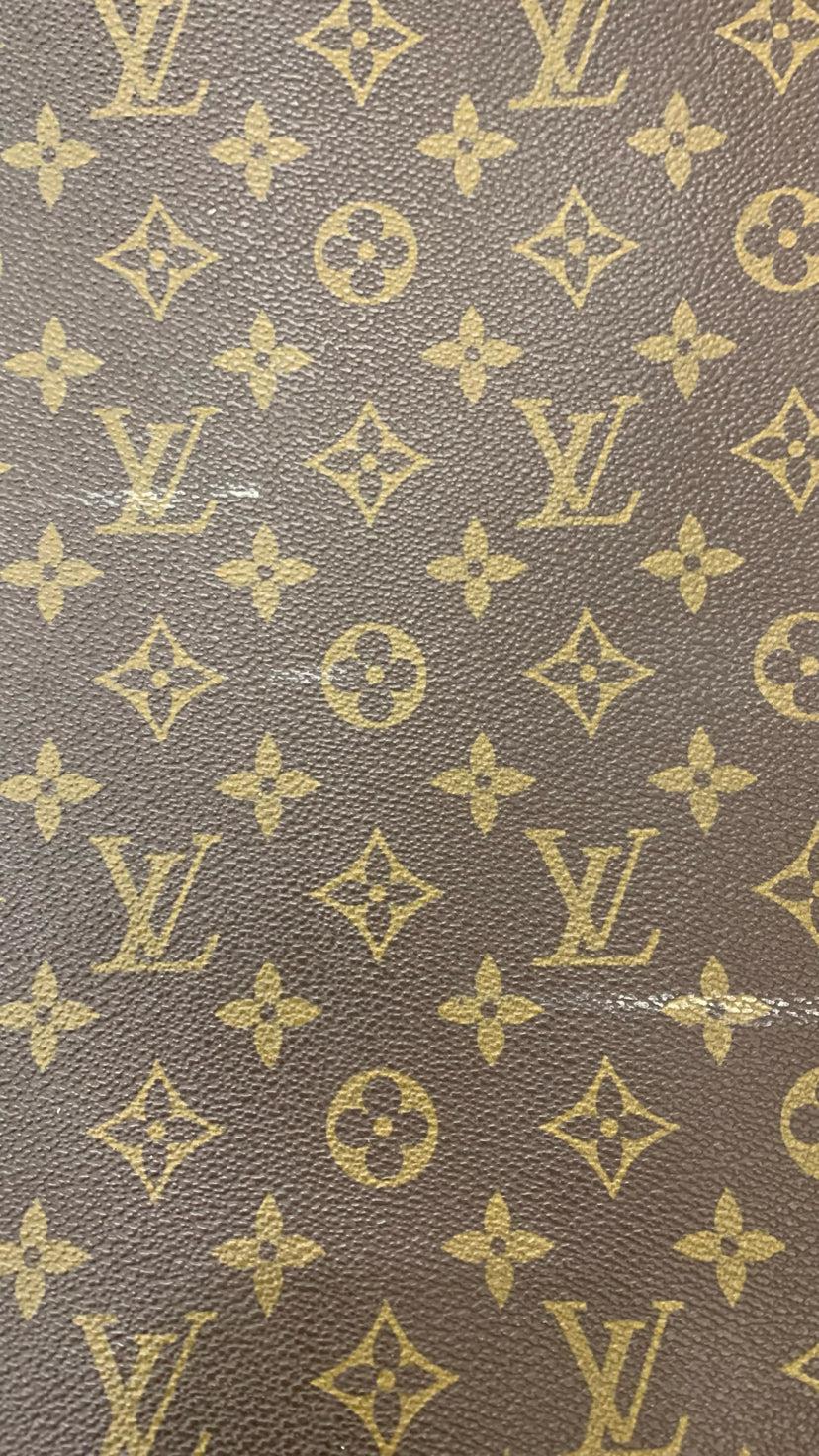 Louis Vuitton Purse