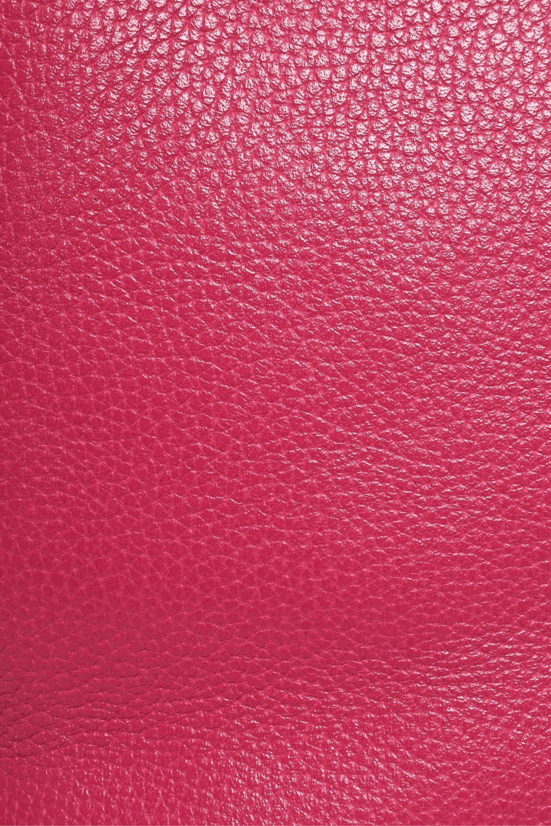 Longchamp Le FoulonnÃ© XL Travel Bag