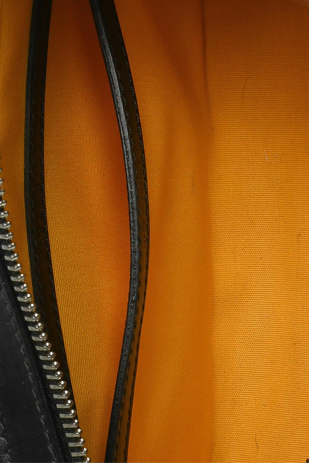 Goyard 2022 Cap-Vert PM Bag