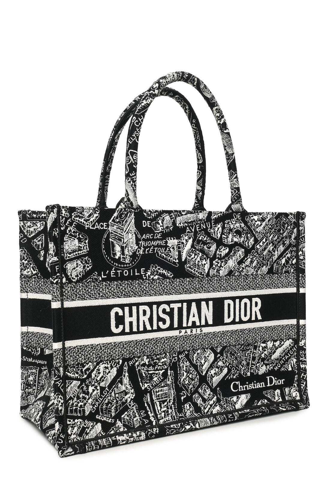 Dior 2022 Medium Plan De Paris Book Tote