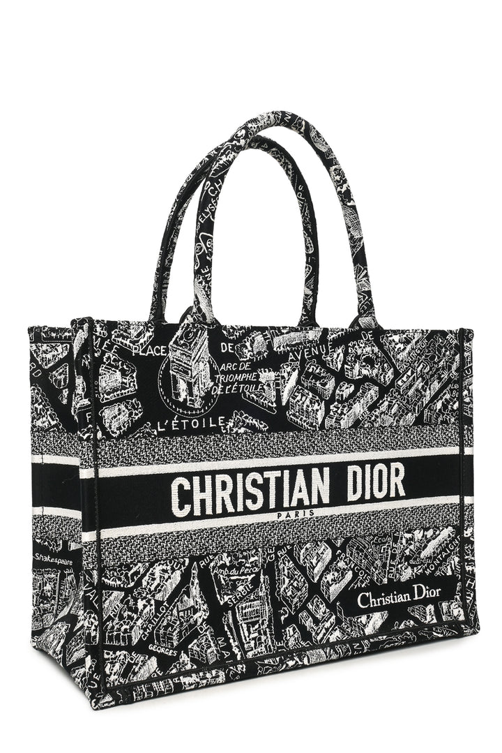 Dior 2022 Medium Plan De Paris Book Tote
