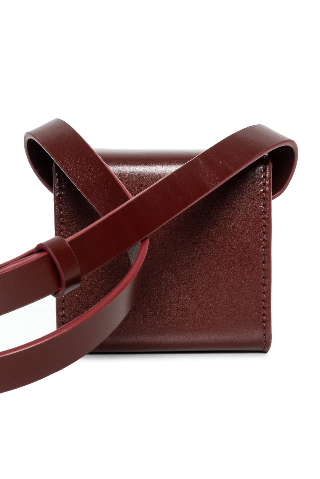 Lemaire Mini Camera Bag Crossbody