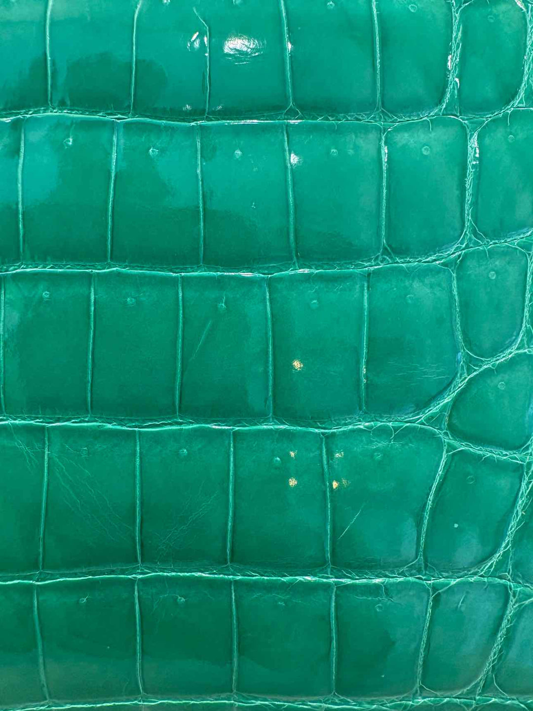Kwanpen The Raffles Classic Crocodile Purse