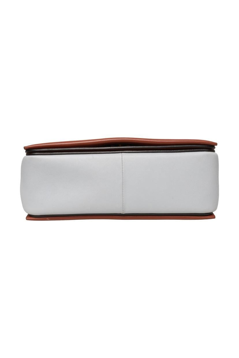 Celine 2018 Medium Frame Shoulder Bag
