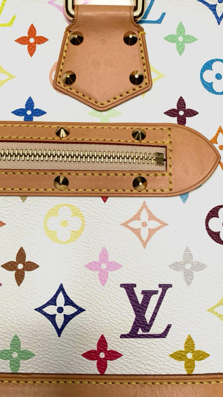 Louis Vuitton Purse