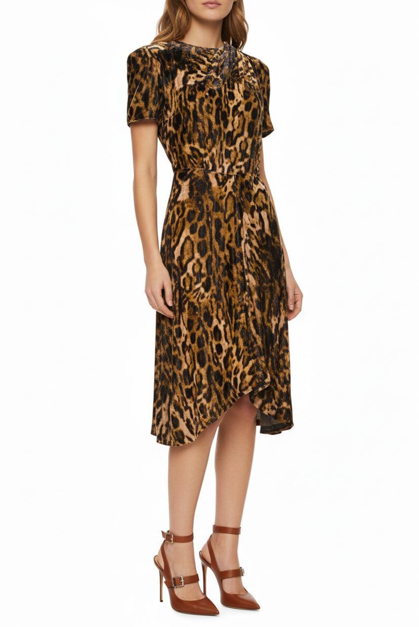 Isabel Marant Size 34 Ulia Leopard-print Velvet Midi Dress