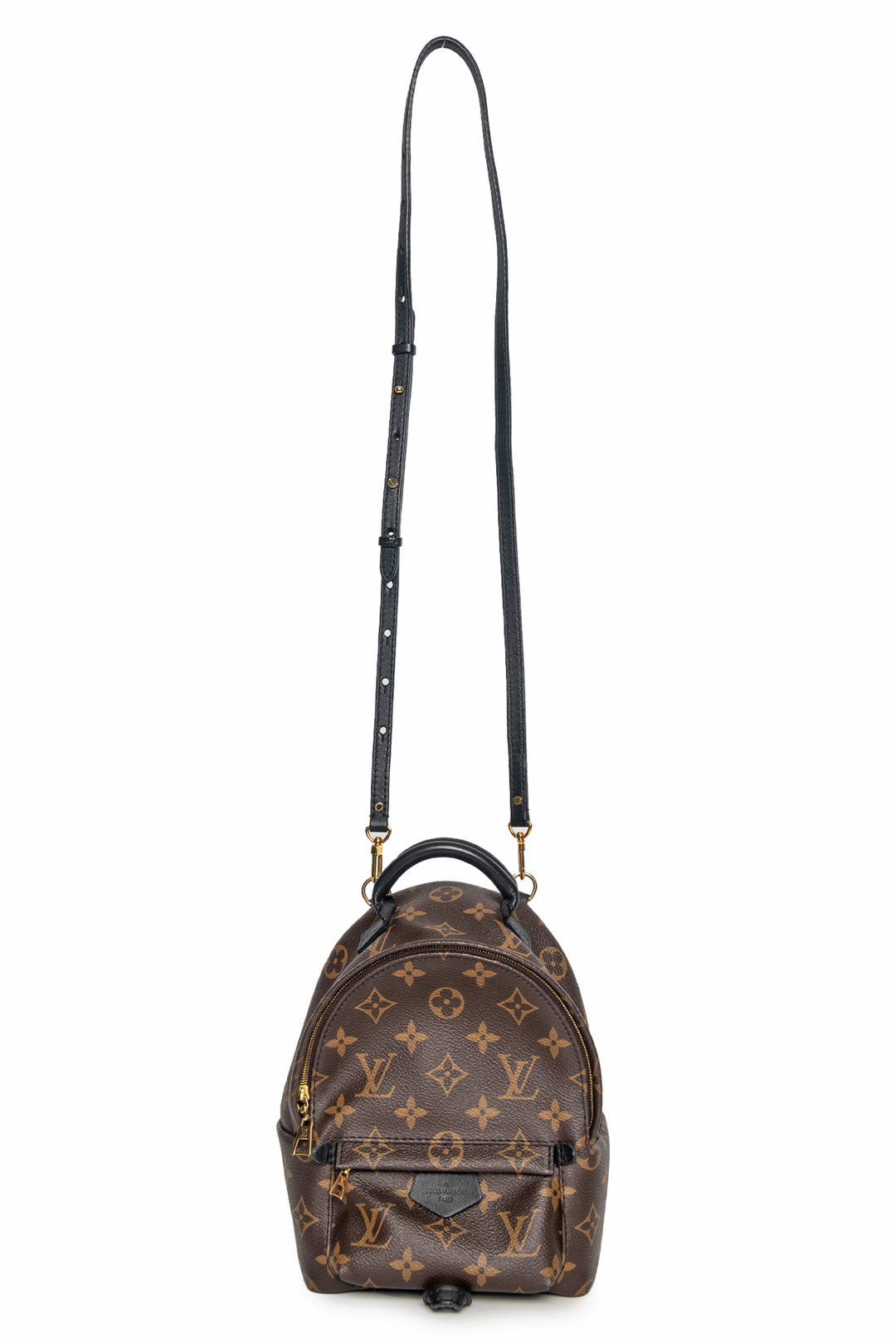 Louis Vuitton Palm Springs Mini BackPack