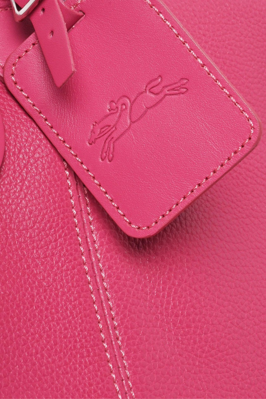 Longchamp Le FoulonnÃ© XL Travel Bag
