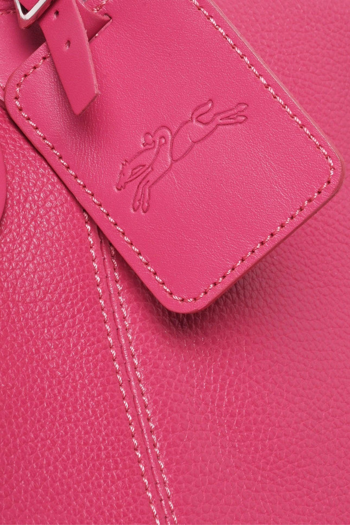 Longchamp Le FoulonnÃ© XL Travel Bag