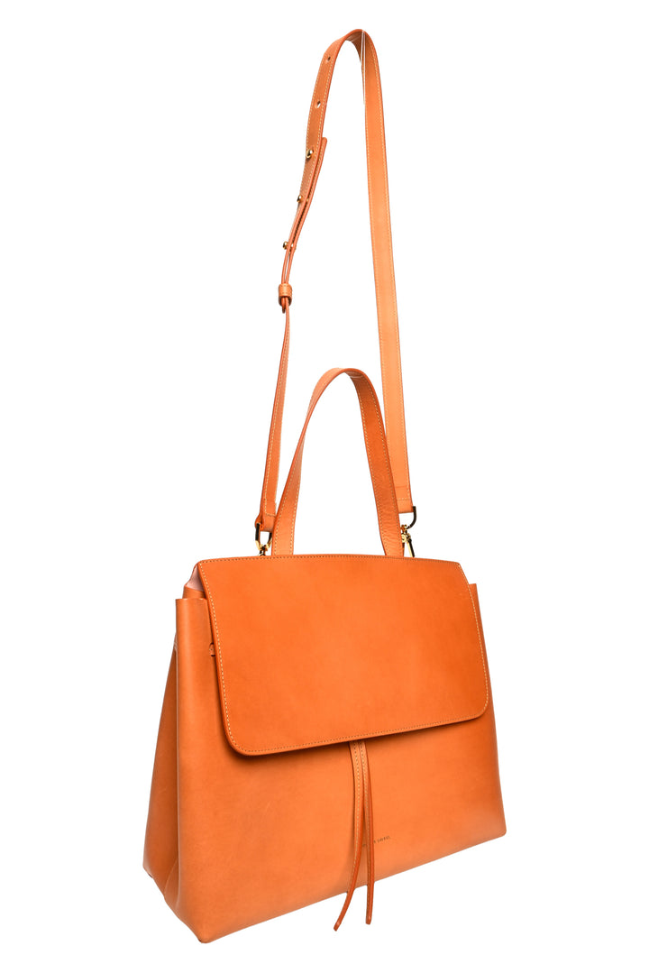 Longchamp Le Pliage Xtra XS Crossbody