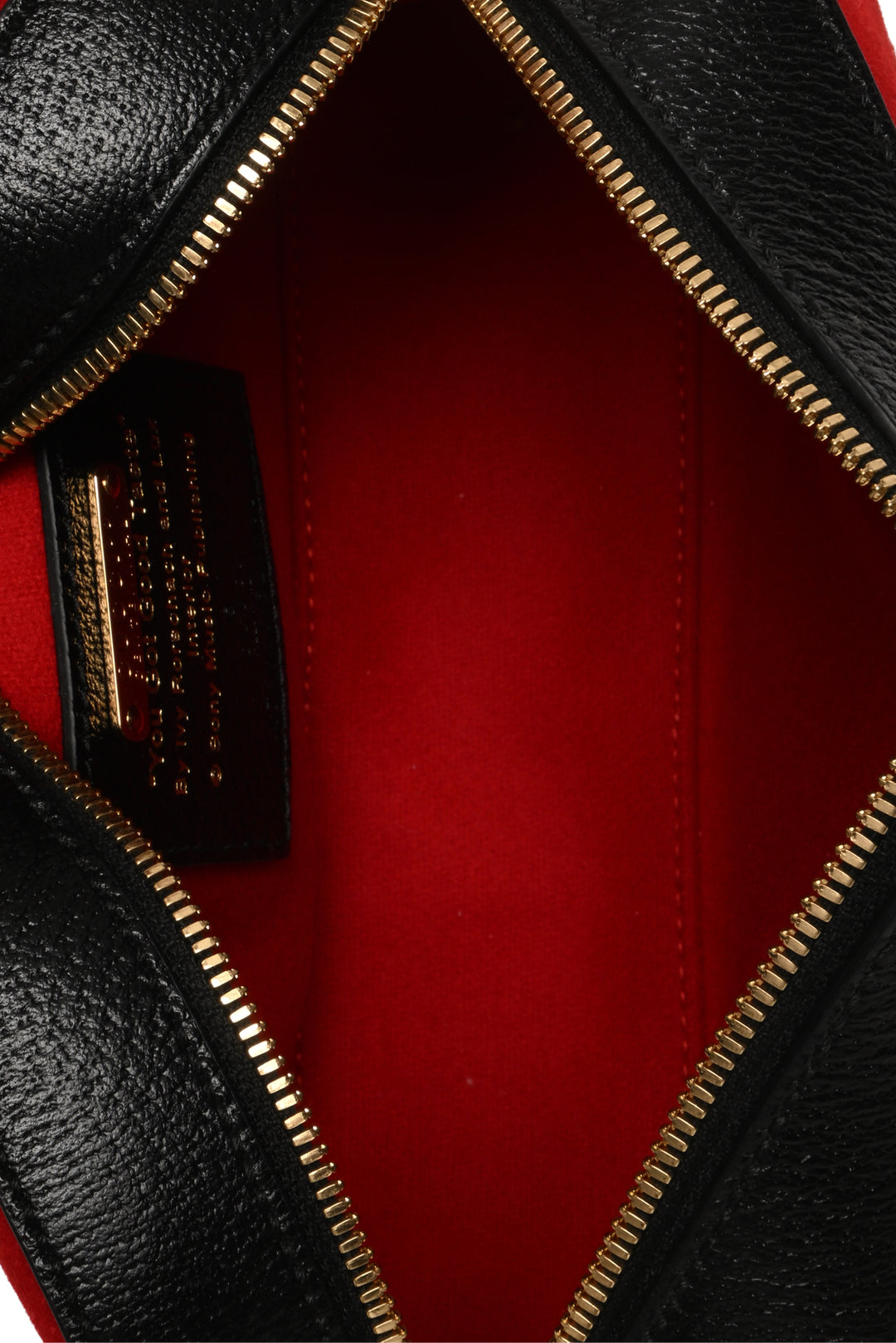 2021 Gucci 100th Anniversary Camera Bag