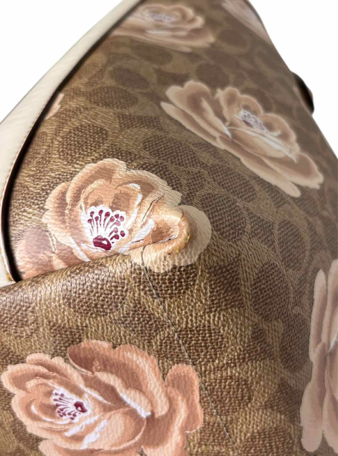 Coach Signature Rose Print Coated CanvasTote