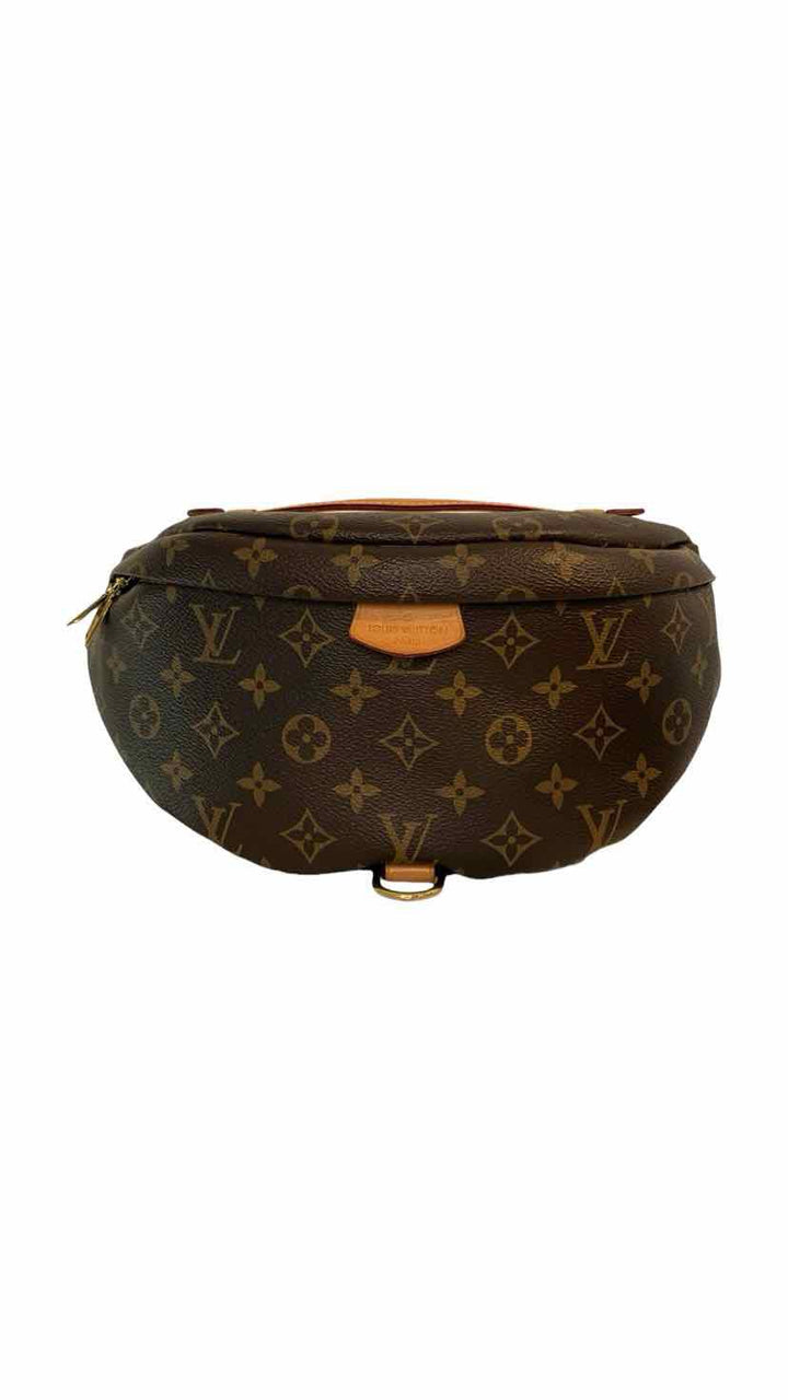 Louis Vuitton BackPack