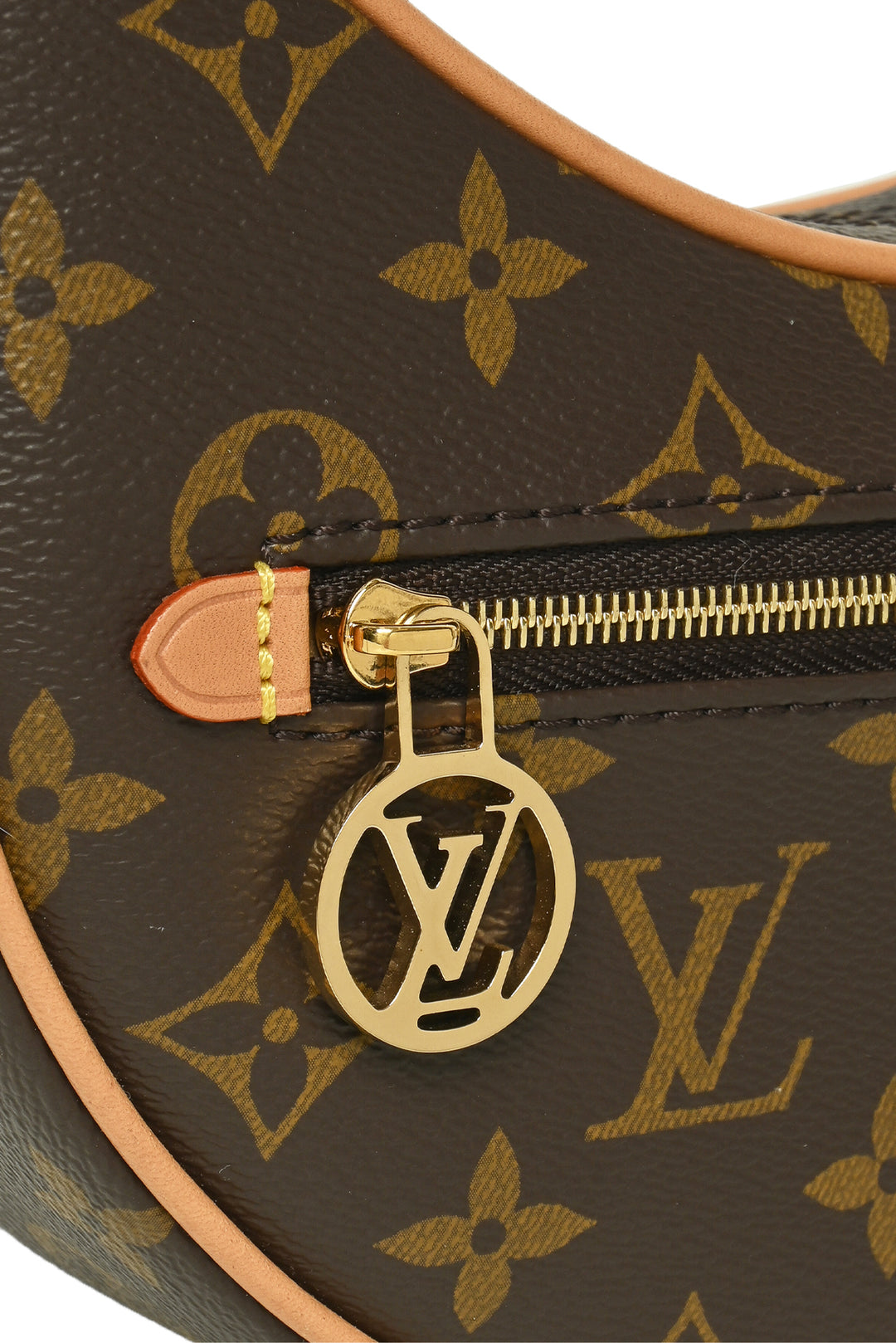 Louis Vuitton Monogram Loop Shoulder Bag
