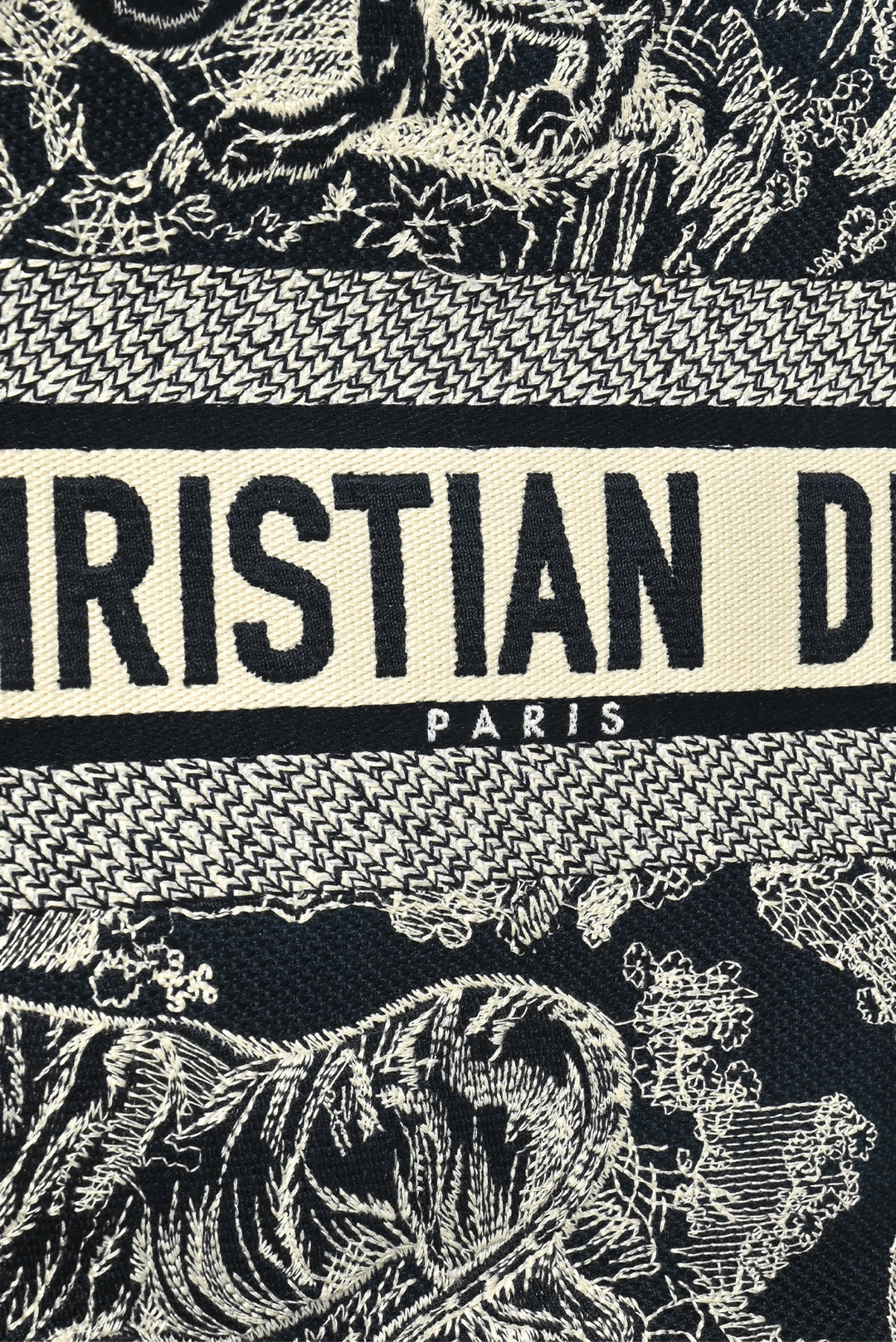 Dior 2022 Toile de Jouy Reverse Medium Book Tote