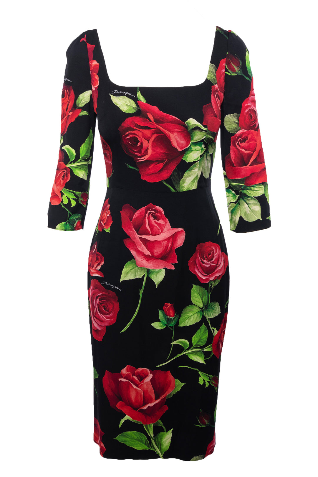 Dolce & Gabbana Size 40 Rose Print Dress