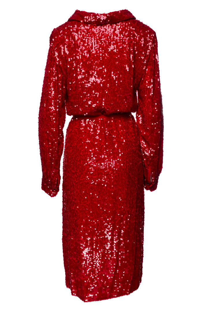 Dries Van Noten Size 8 Della Sequin Tulle Shirt Dress