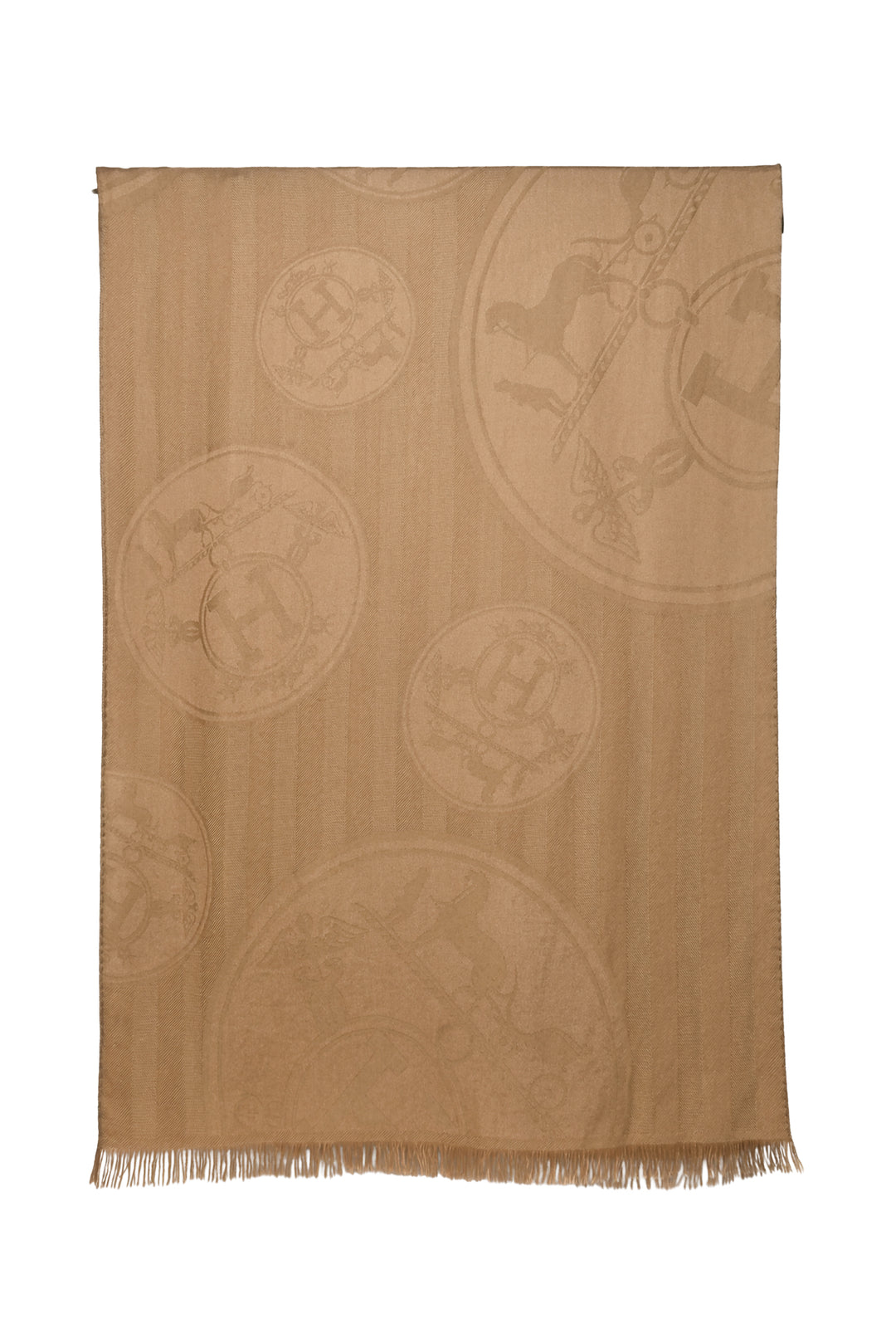 Hermes Scarf