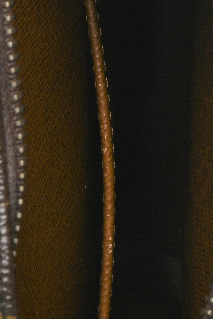 Louis Vuitton 2012 Monogram Danube Crossbody