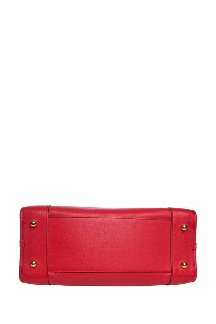 Loewe 2014 Horse Year Amazona 36