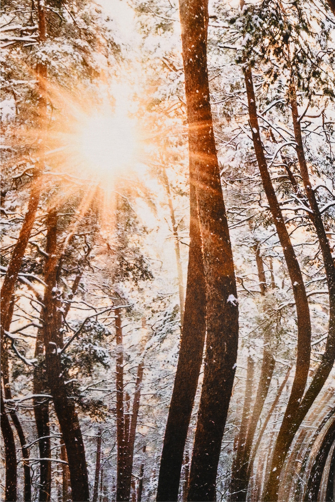 R13 Size S Winter Woods Turtleneck Tops