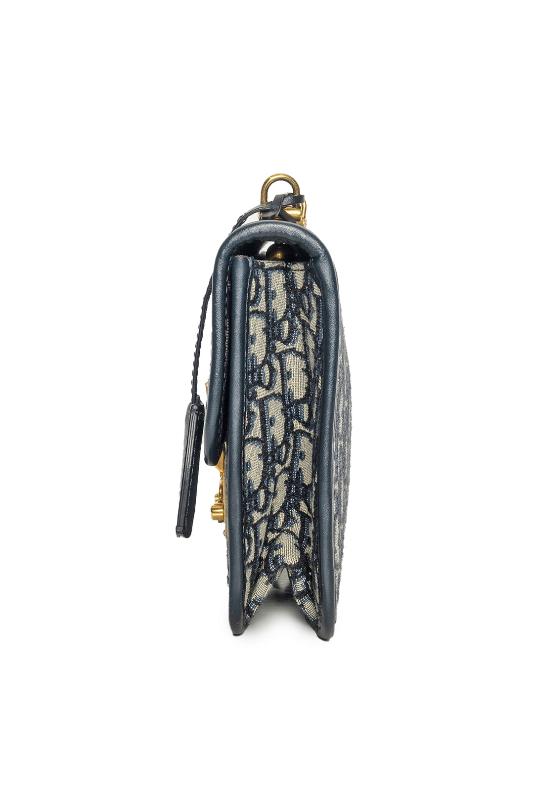 Dior 2019 Addict Flap Bag with Embellished Strap