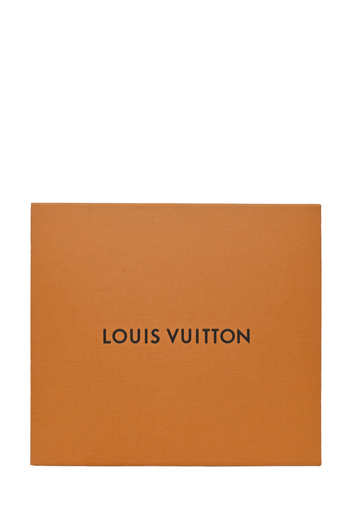 Louis Vuitton 2019 Epi Leather NeoNoe BB Bag