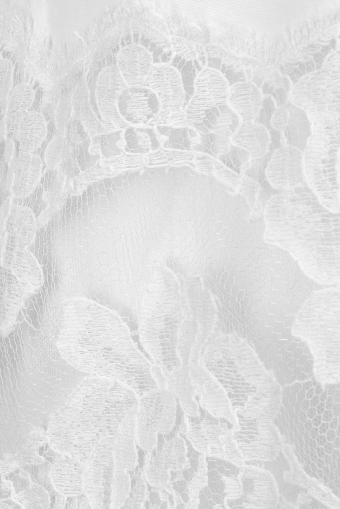 Dolce & Gabbana Size 38 Lace-Trimmed Cropped Cotton Blouse