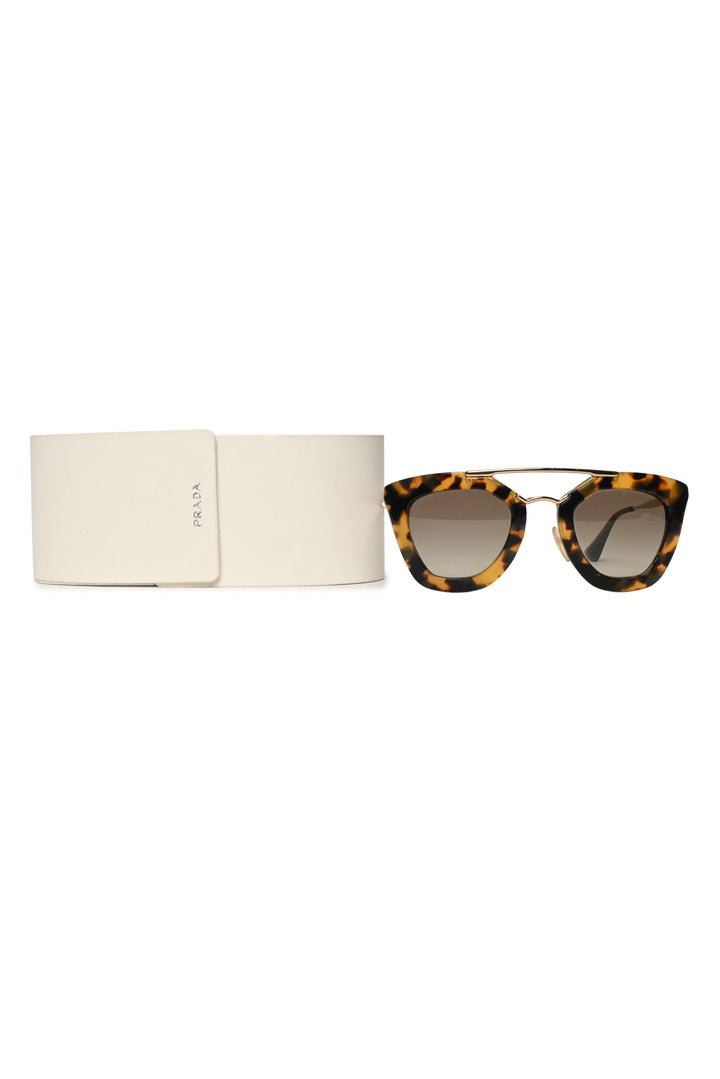 Prada Havana Cinema Cat-Eye Sunglasses