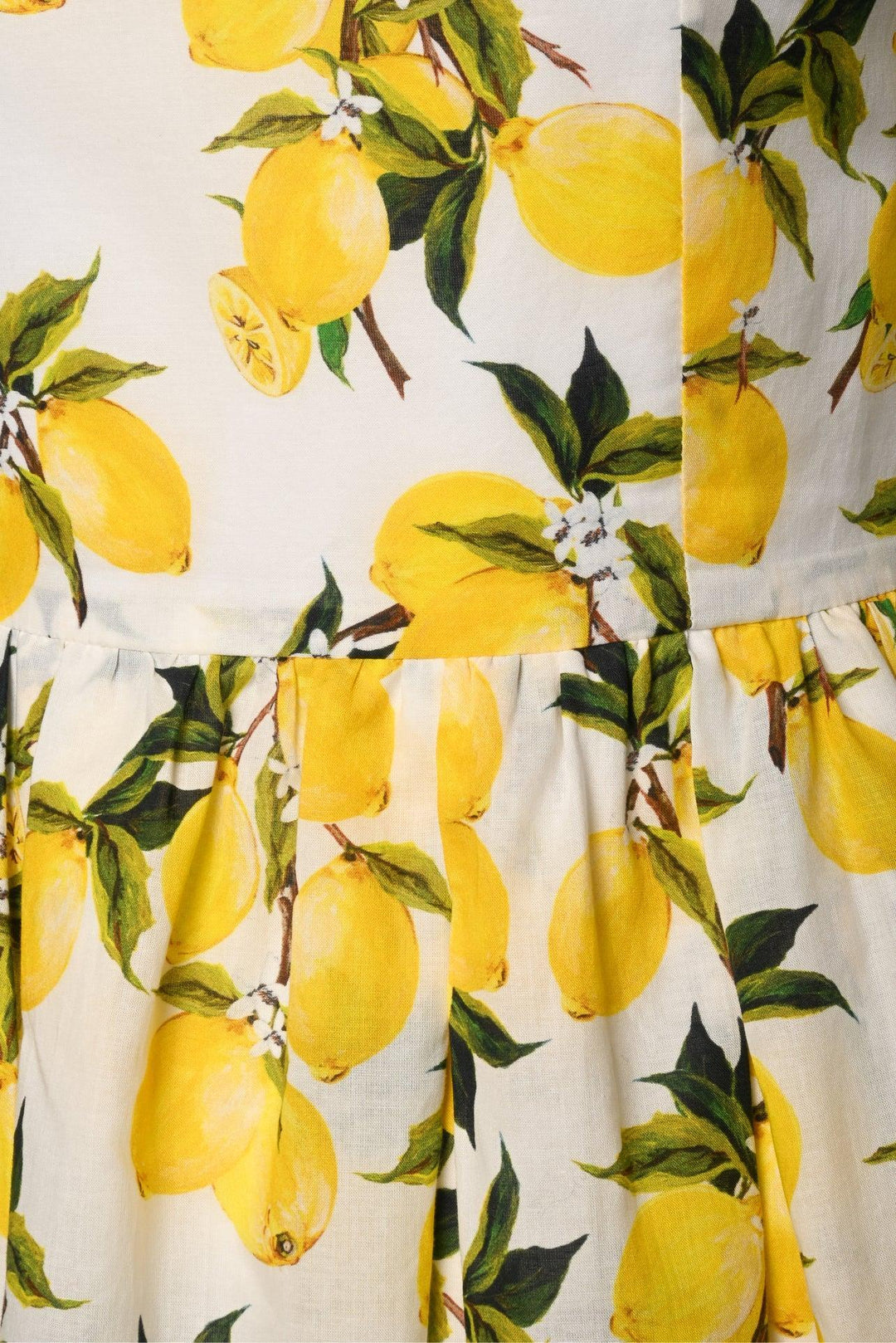 Dolce & Gabbana Size 40 Lemon Print Dress