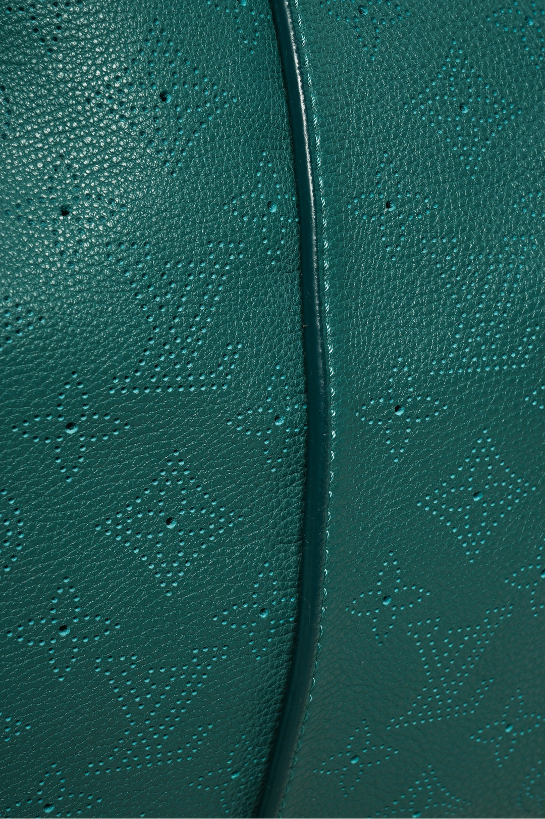 Louis Vuitton 2012 Lagon Monogram Mahina Selene GM Bag