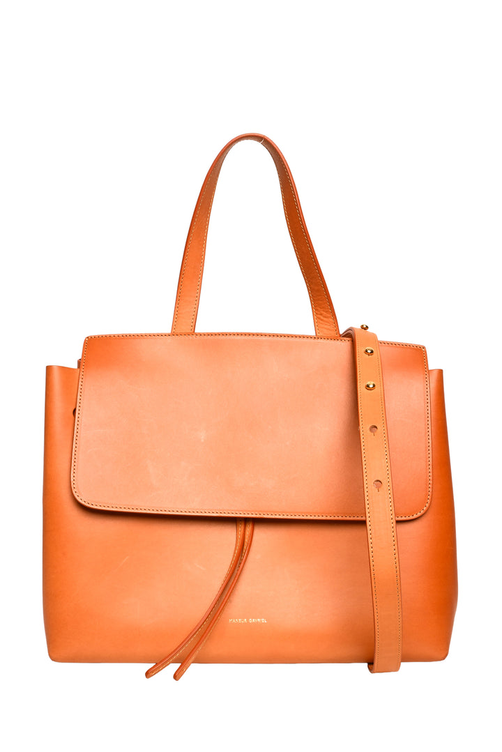 Longchamp Le Pliage Xtra XS Crossbody
