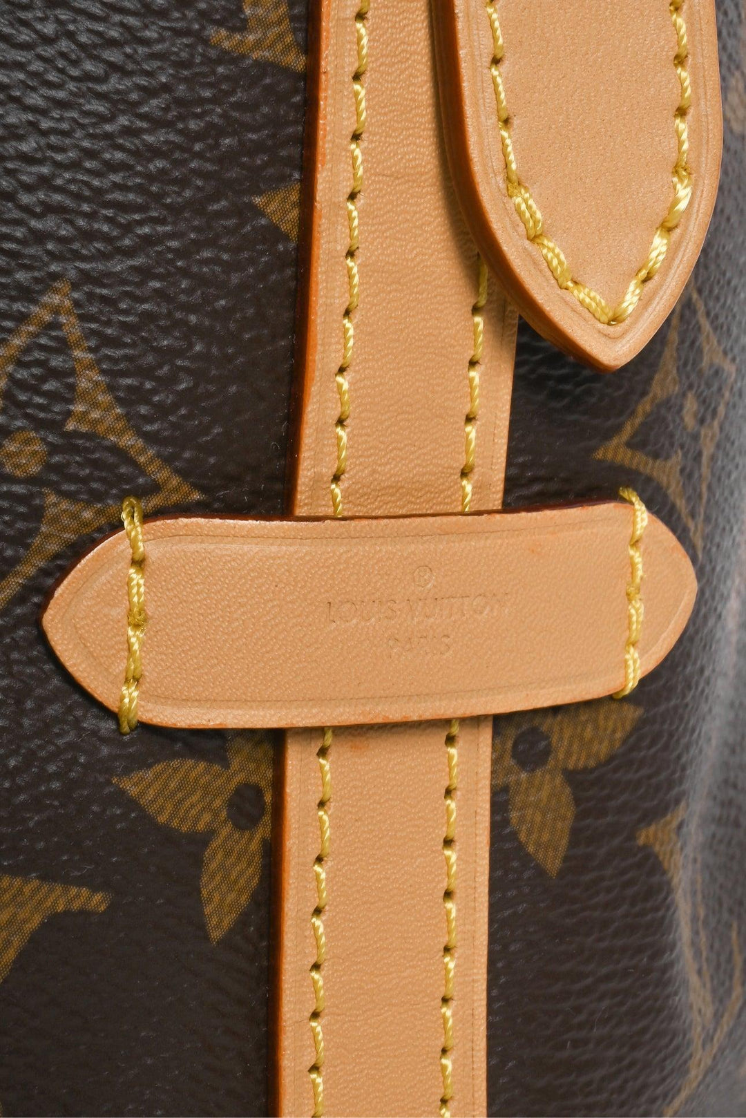 Louis Vuitton CarryAll PM Shoulder Bag