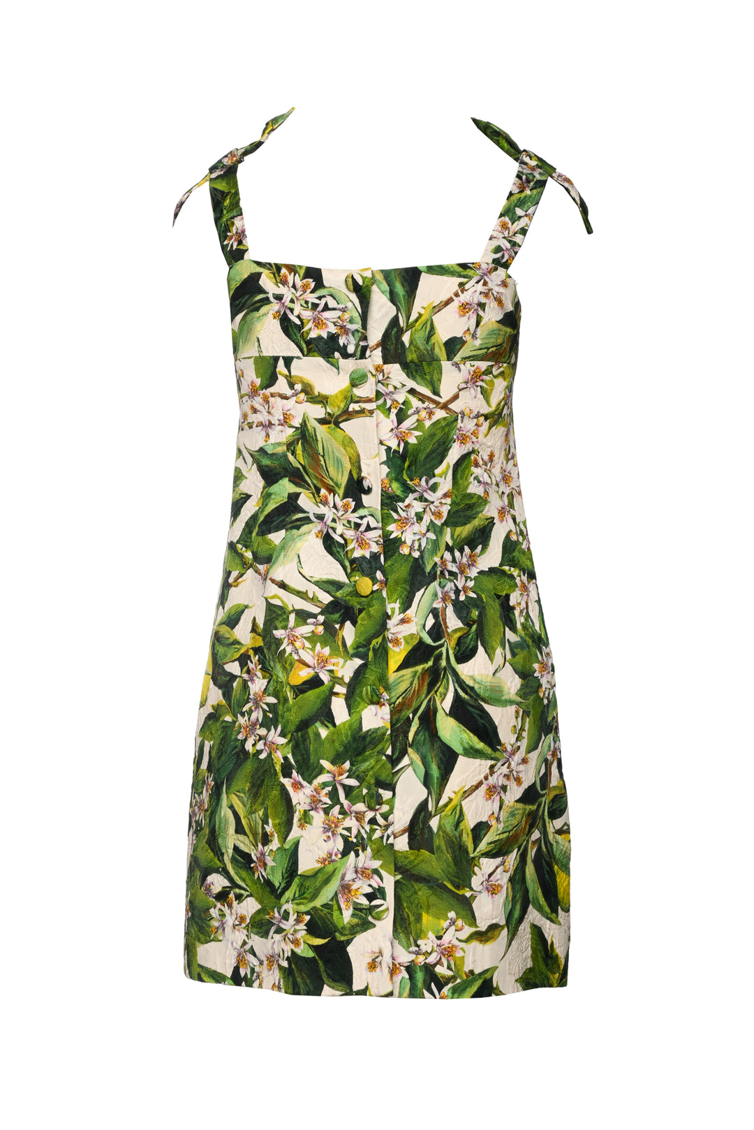 Dolce & Gabbana Size 38 Floral Mini Dress
