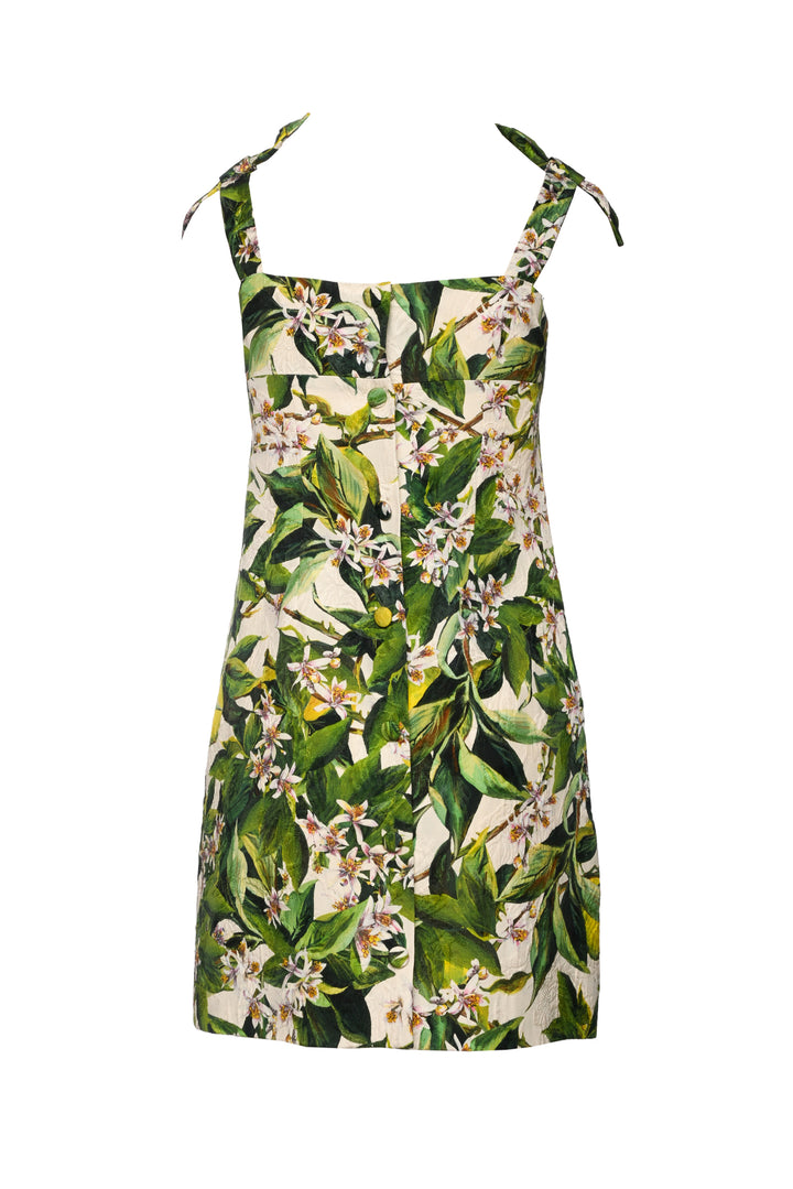 Dolce & Gabbana Size 38 Floral Mini Dress