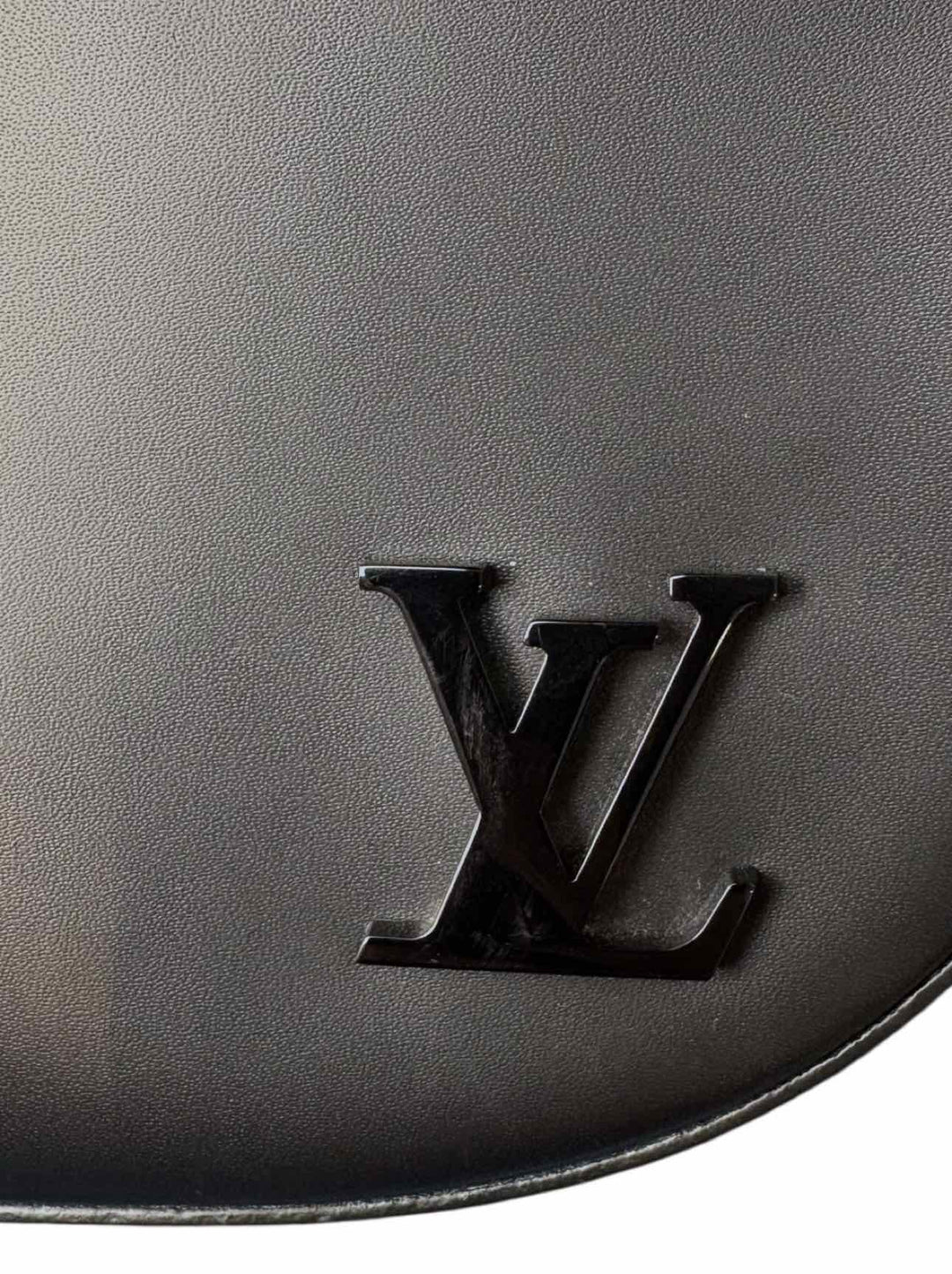 Louis Vuitton Luna Epi Noir Purse