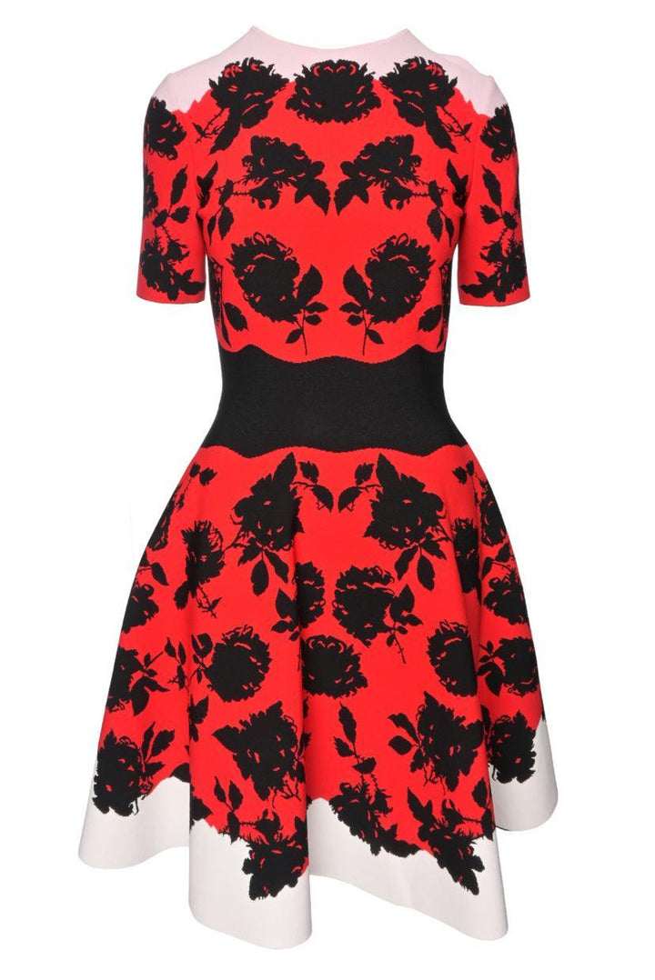 Alexander Mcqueen Size M 2017 Floral Knee-Length Dress