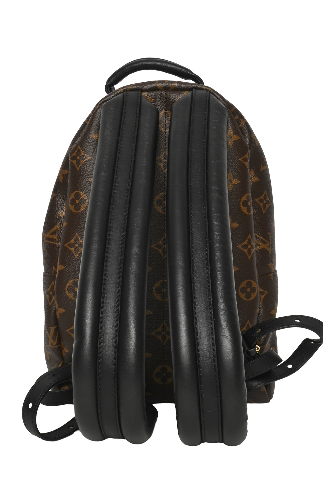 Louis Vuitton 2023 Monogram Canvas & Leather Palm Springs PM BackPack