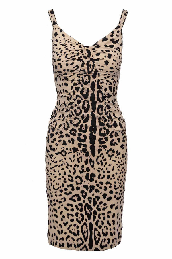 Dolce & Gabbana leopard print and lace dress