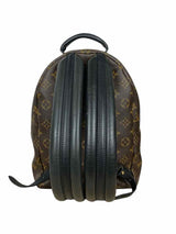 Louis Vuitton Palm Springs PM BackPack